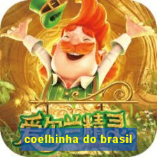 coelhinha do brasil